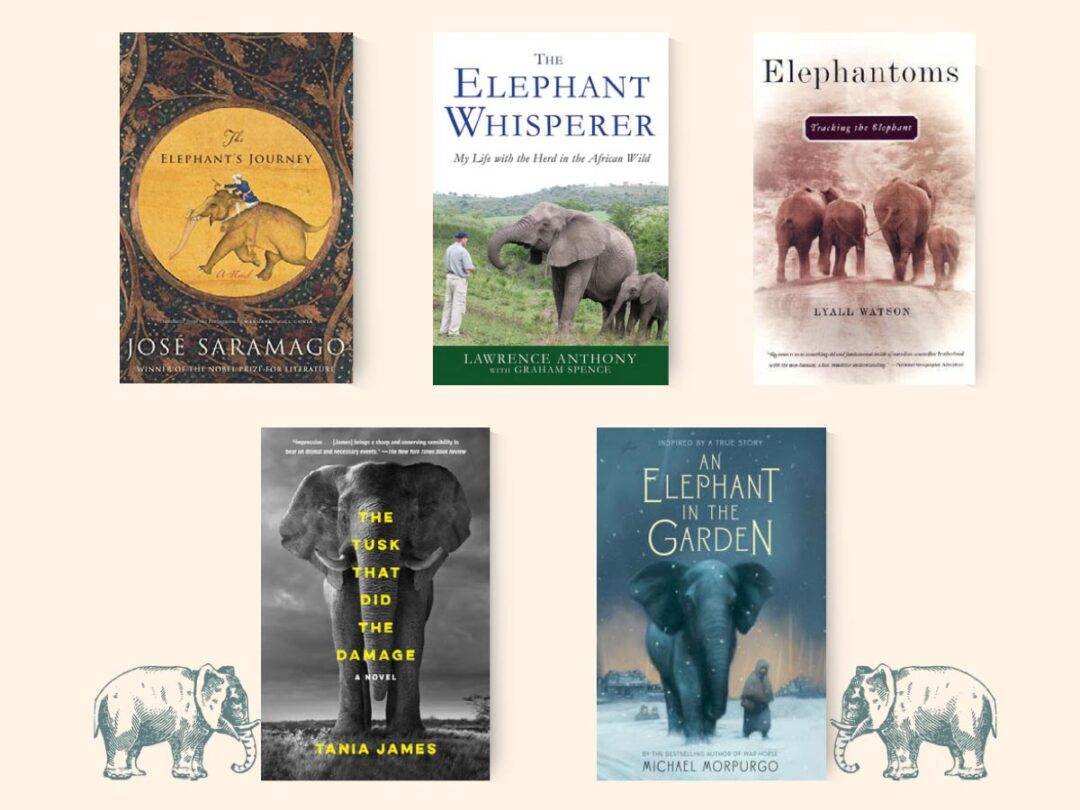 18 Astonishing Books About Elephants