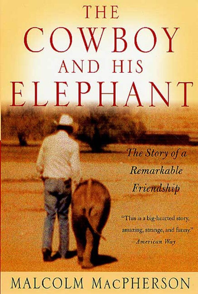 A Cowboy and His Elephant book cover