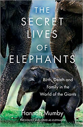The Secret Lives of Elephants book cover