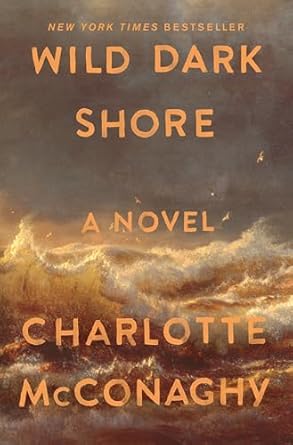 wild dark shore book cover