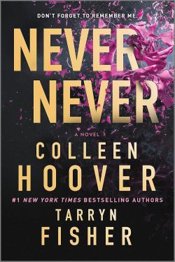 never never book cover.