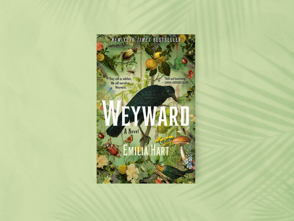 Weyward book club questions, with book cover.