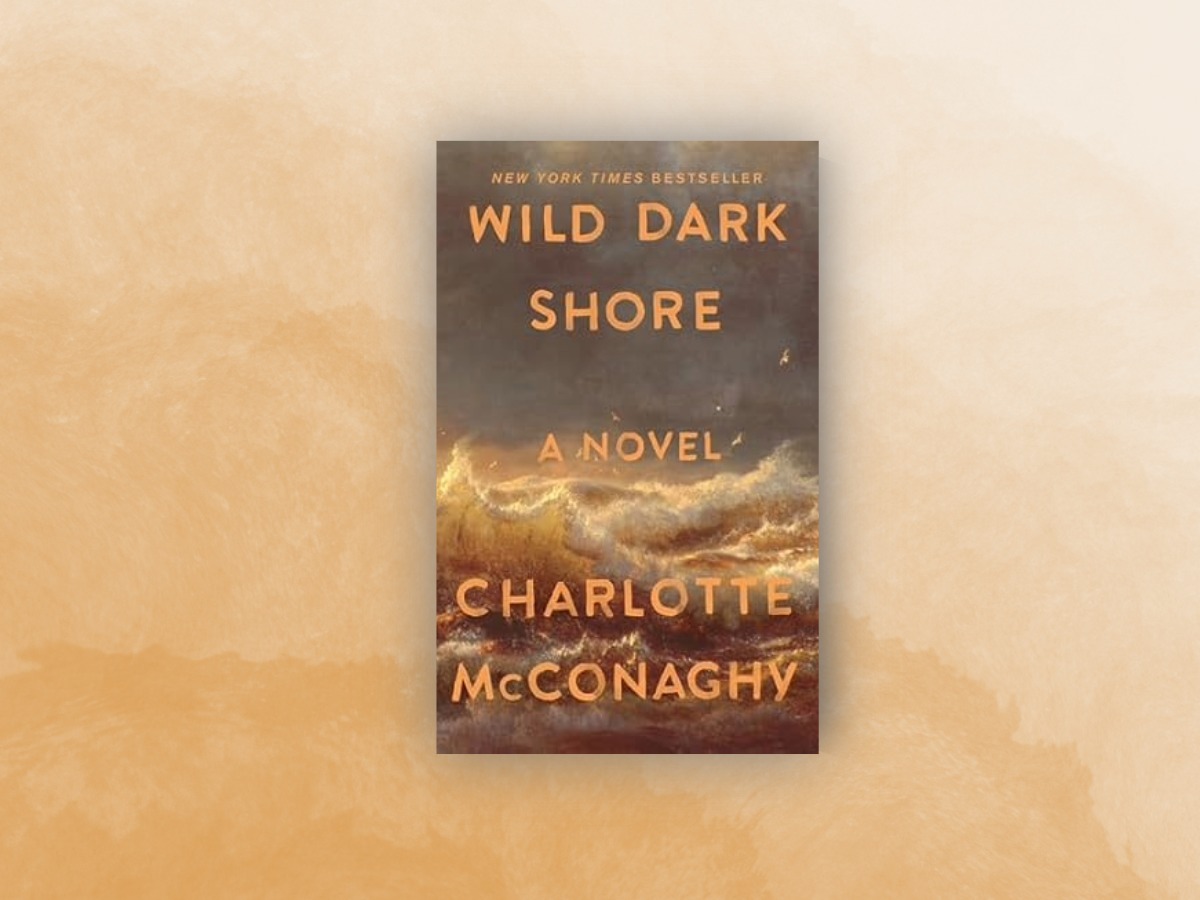 wild dark shore book club questions.